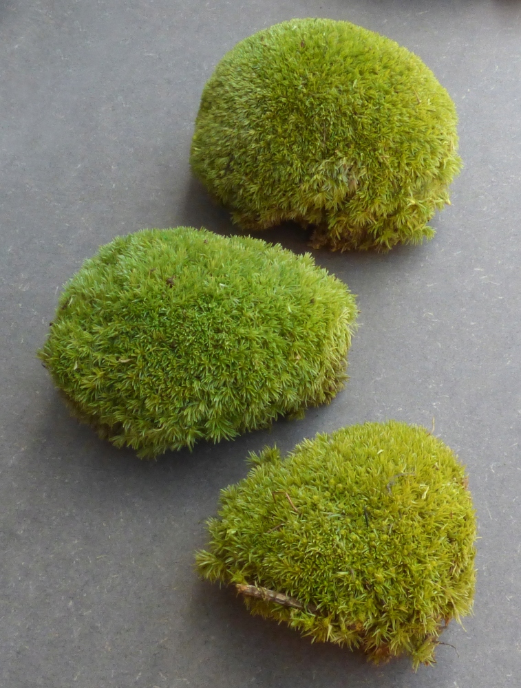 Mech Poduszkowy PREMIUM Jasna Zieleń Karton 0,06m2 Wysokość produktu 35 cm