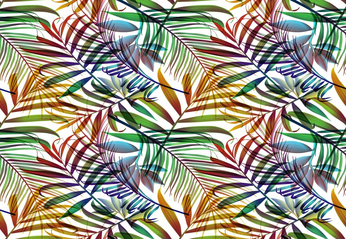 

Fototapeta Flizelinowa Liście palmy 152x104