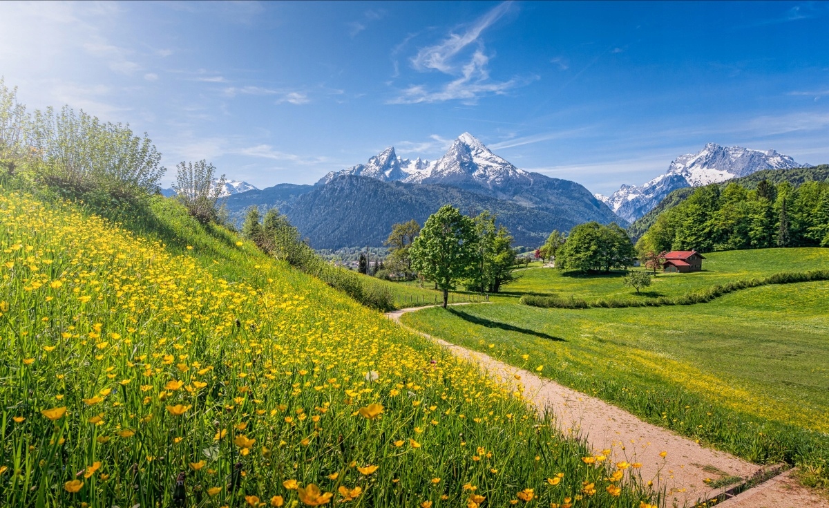 

Fototapeta Flizelinowa Idylliczne Alpy 416x254