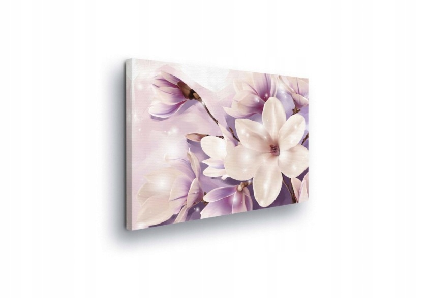 Obraz 100x75 Magnolie květy kvetení jemnost pastelově růžová bílá