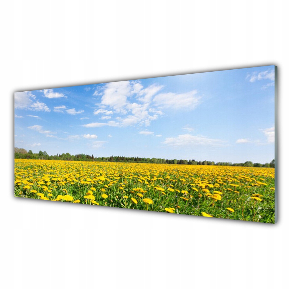 

Fotoobraz na ścianę 125x50 Mniszek Lekarski Łąka