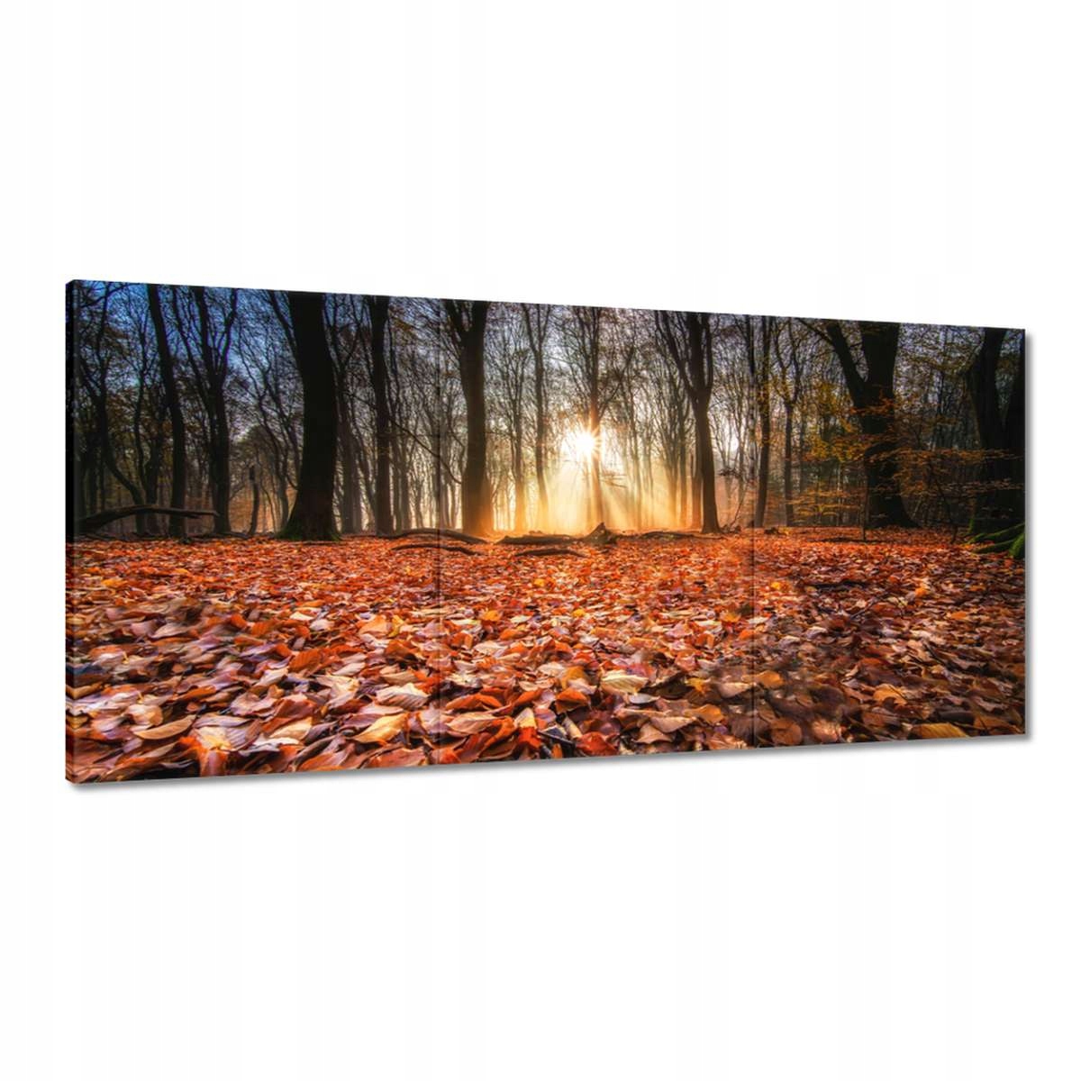 Obrazy 180x90 Jesenný pohľad Krajina