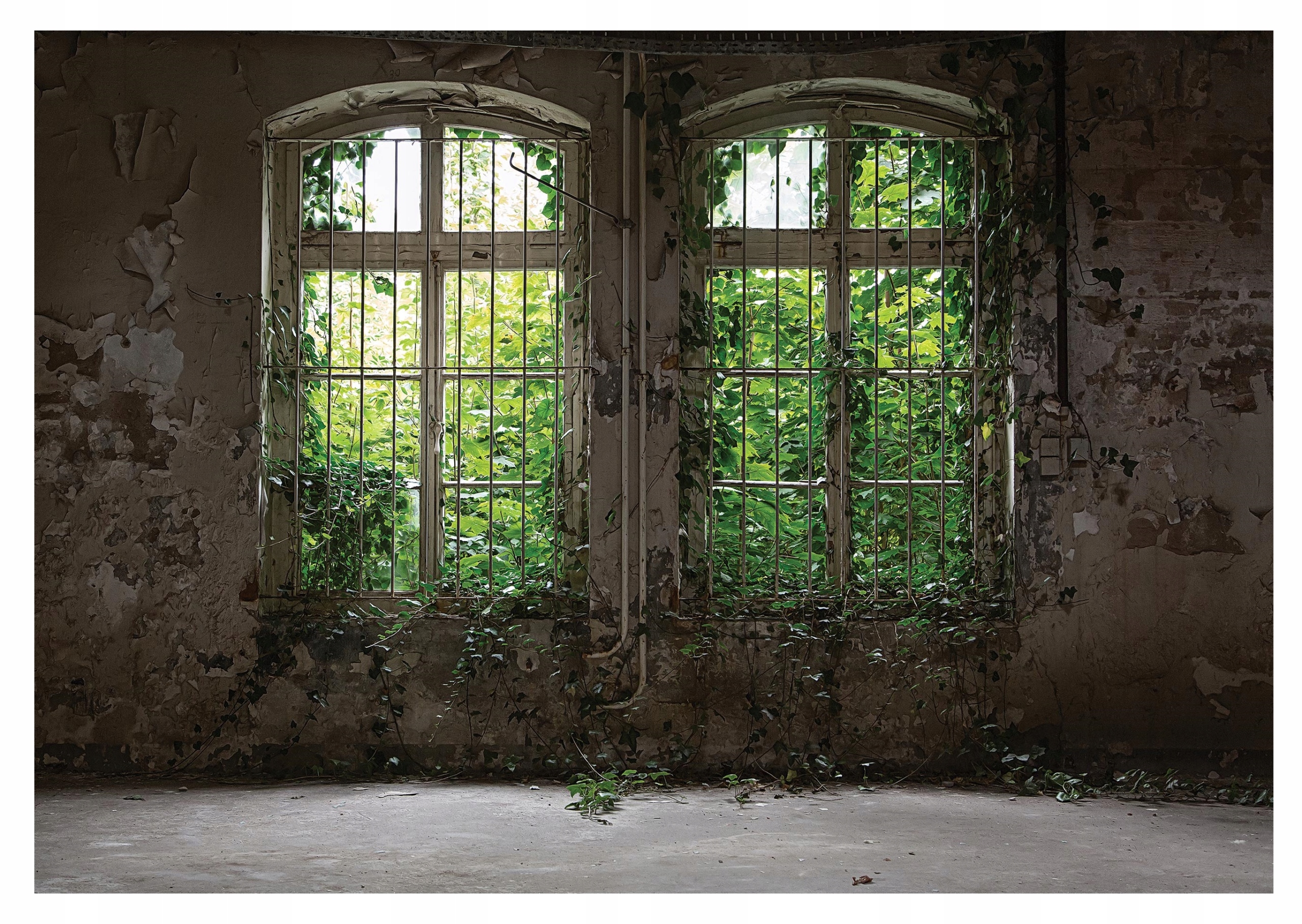 Fototapeta OKNO Z WIDOKIEM Rośliny Mur 368x254