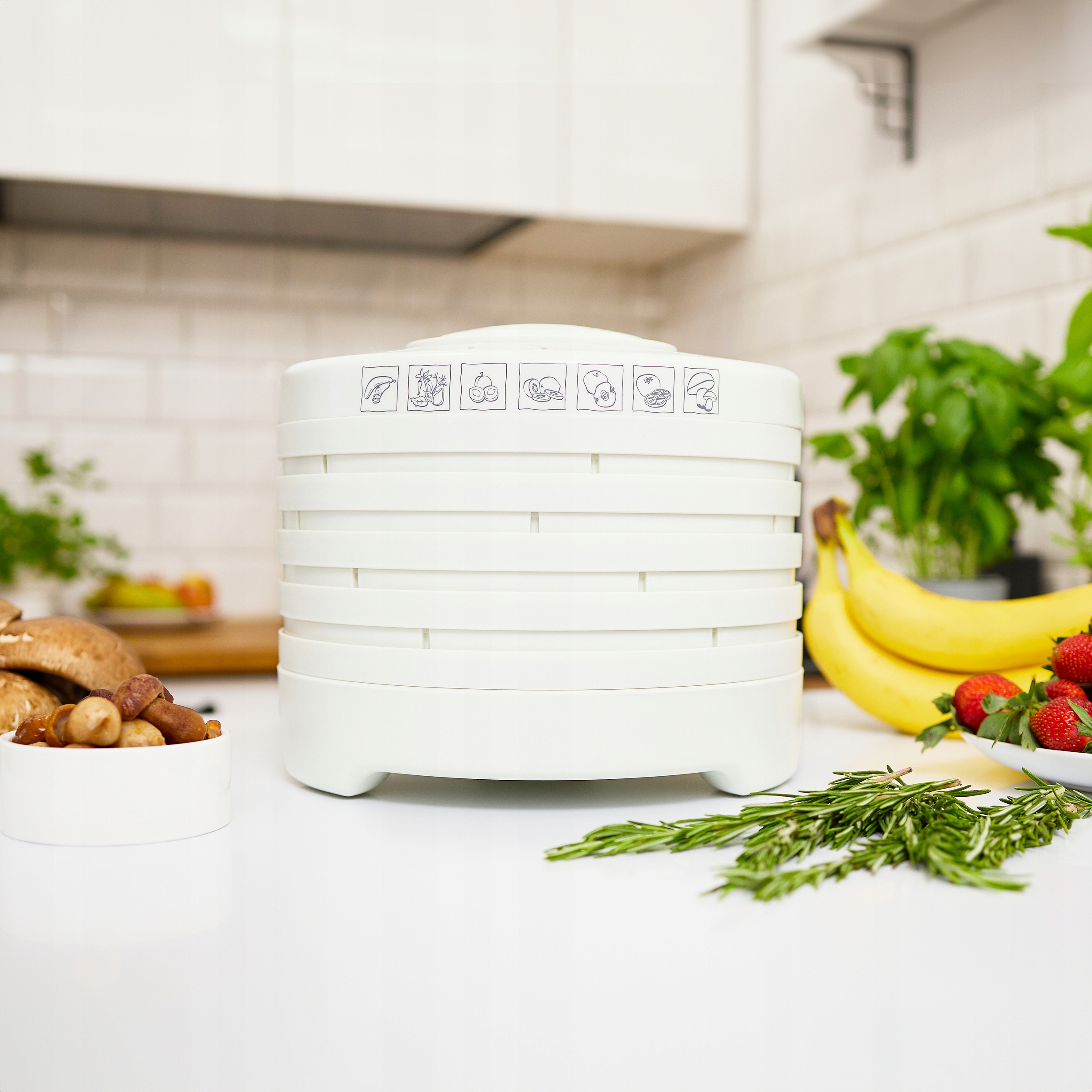 Suszarka do grzybów spożywcza MPM MSG-01 Marka MPM