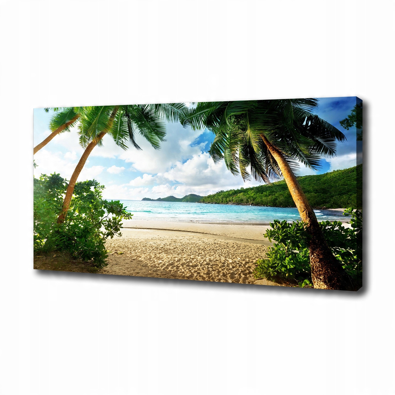 

Foto obraz na płótnie Palmy na plaży 100x50 cm
