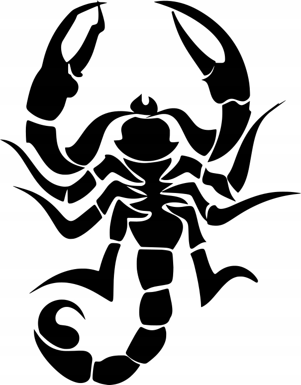 

Naklejka Skorpion 20,5 X 16 CM