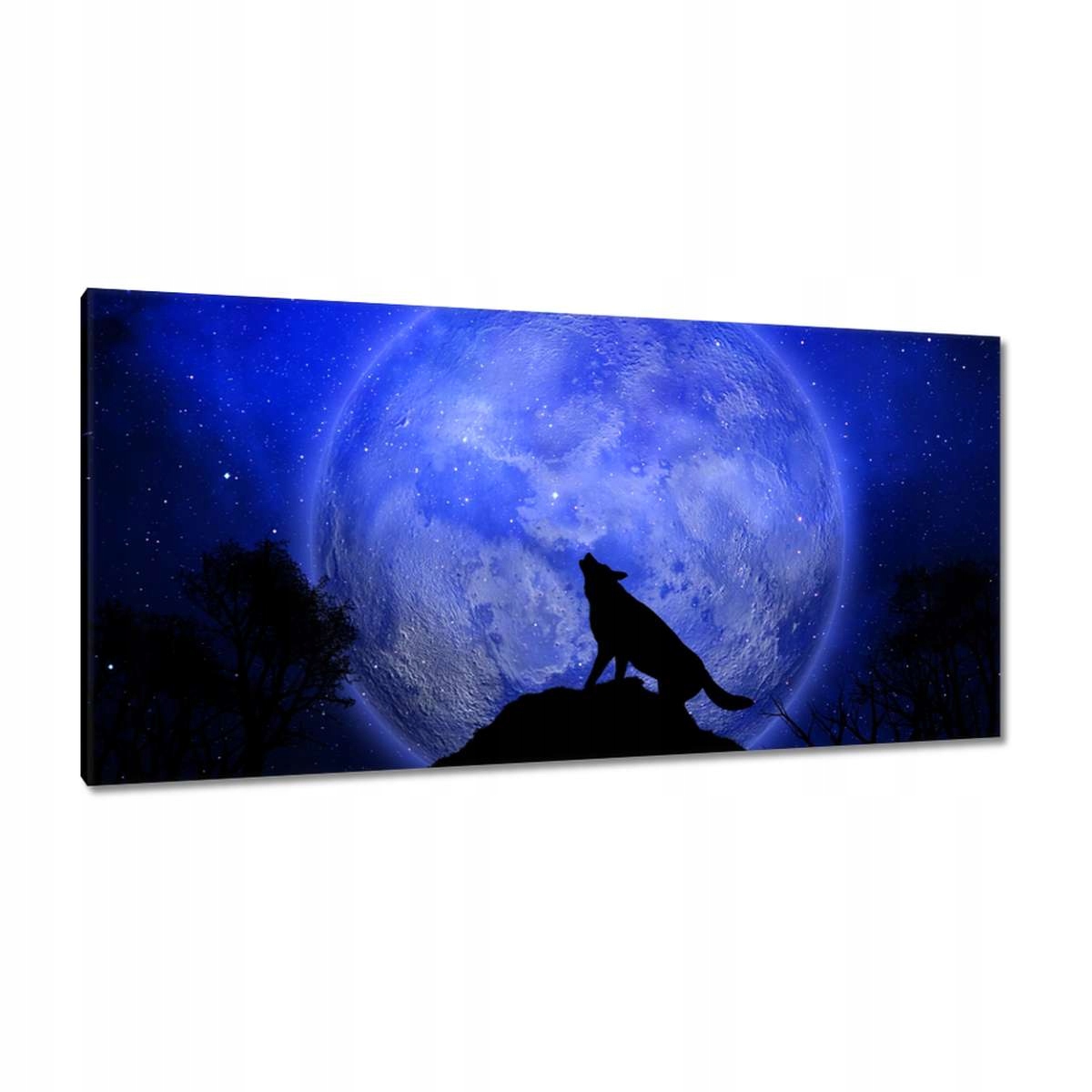 Obrazy 115x55 Vlk vyje do měsíce Noc