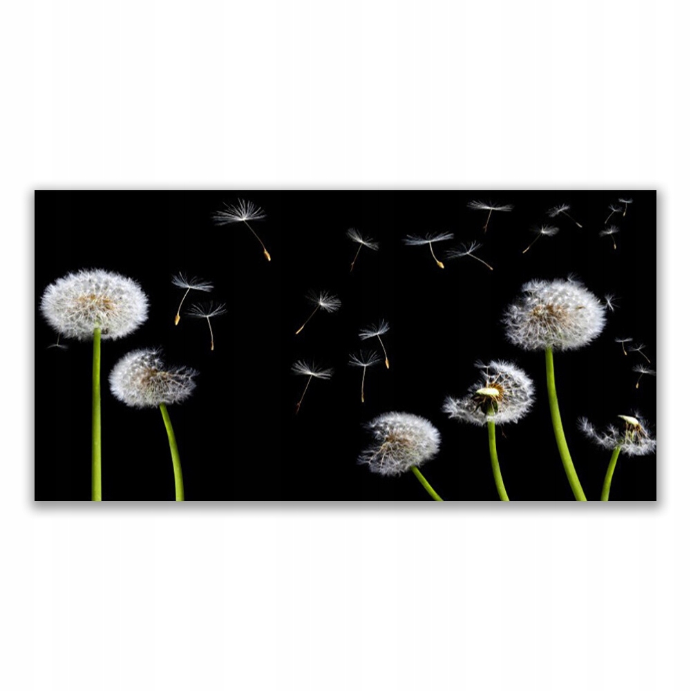 

Fotoobraz akryl na prezent 120x60 Mniszek Lekarski