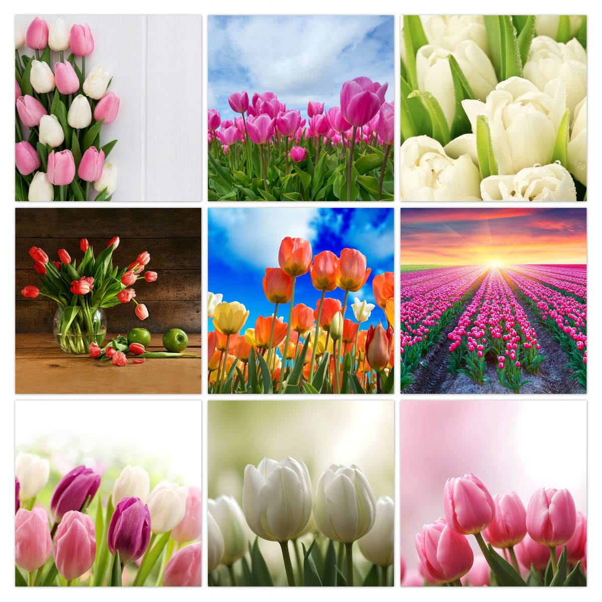 Sada obrazov 9x 40x40 Mix kvetov Tulipány