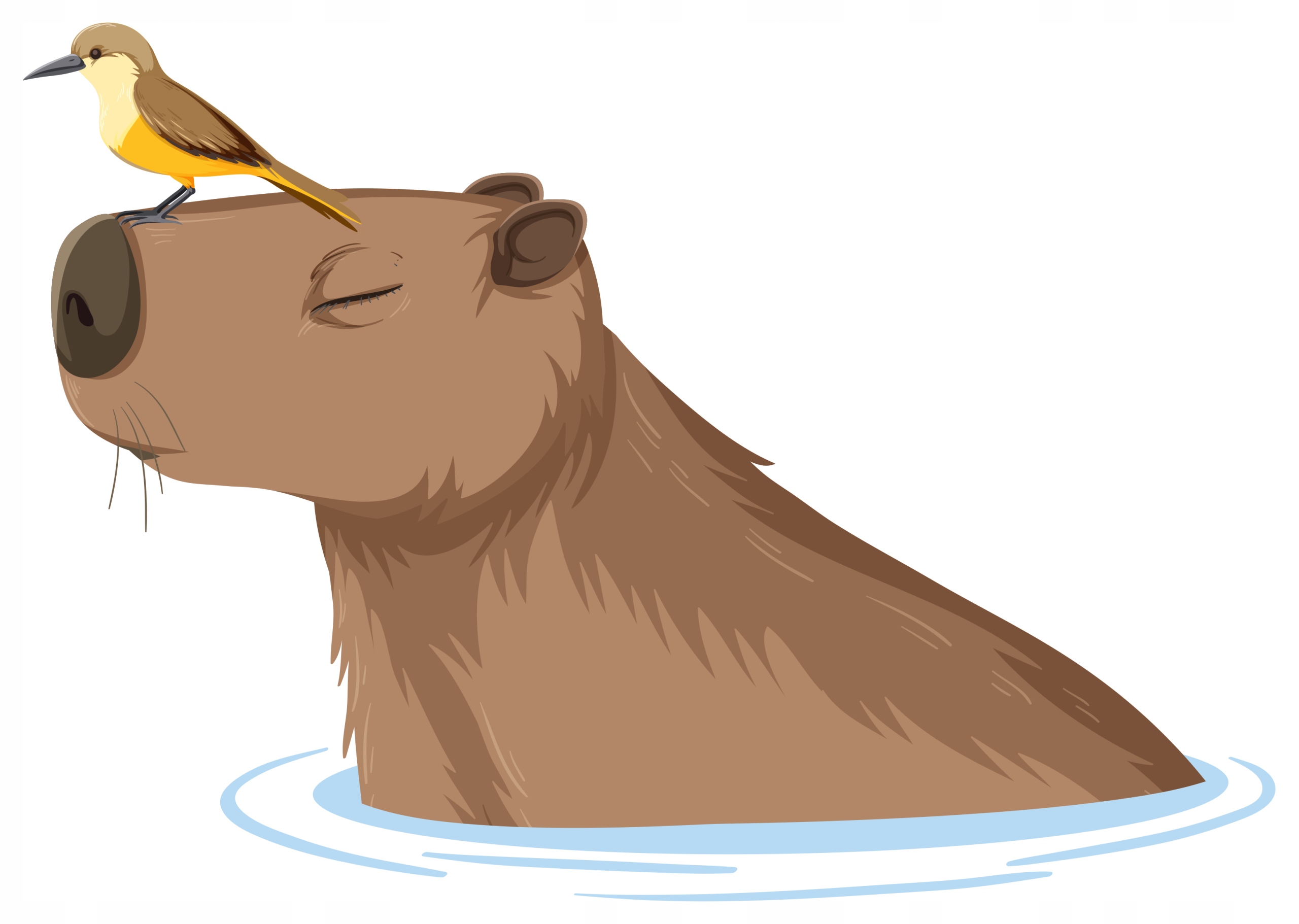 

Naklejka Na Okno Szybę Lustro Kapibara Capybara