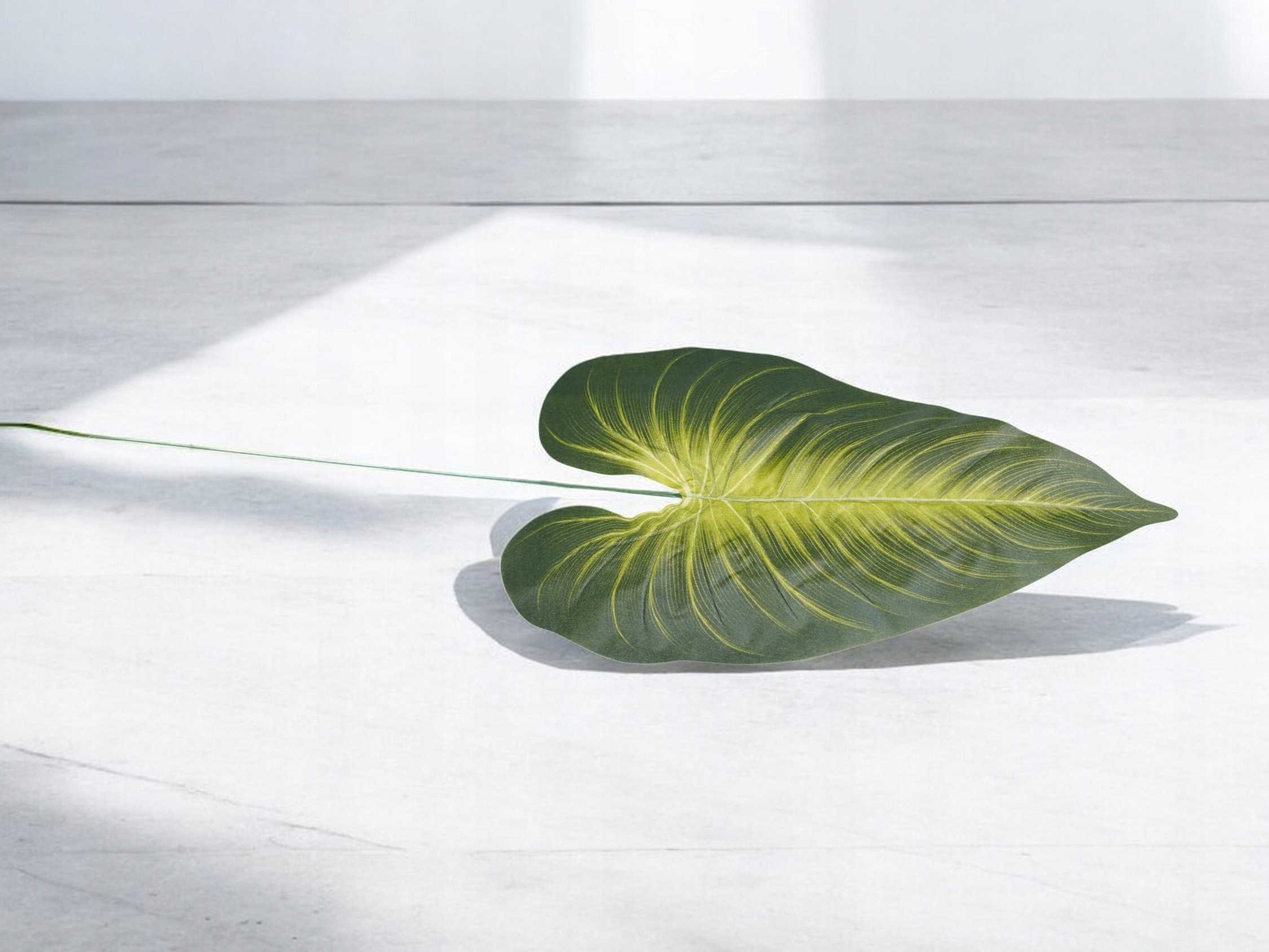 SZTUCZNE KWIATY LIŚĆ JAK ŻYWY SZTUCZNA GAŁĄZKA DŁUGI LIŚĆ NA PIKU 64 cm Typ inny