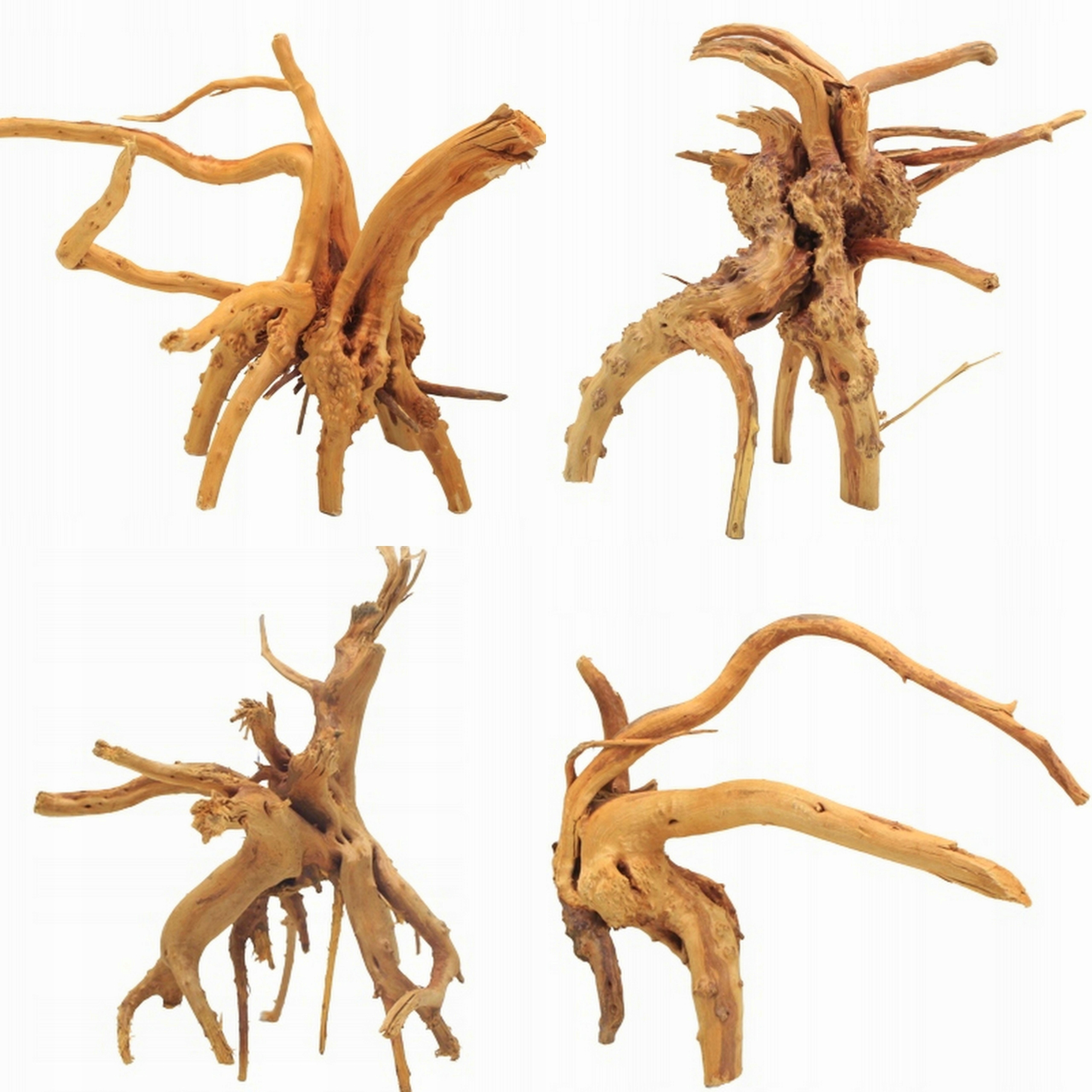 

Naturalna Dekoracja do Terrarium Korzeń 20-25cm