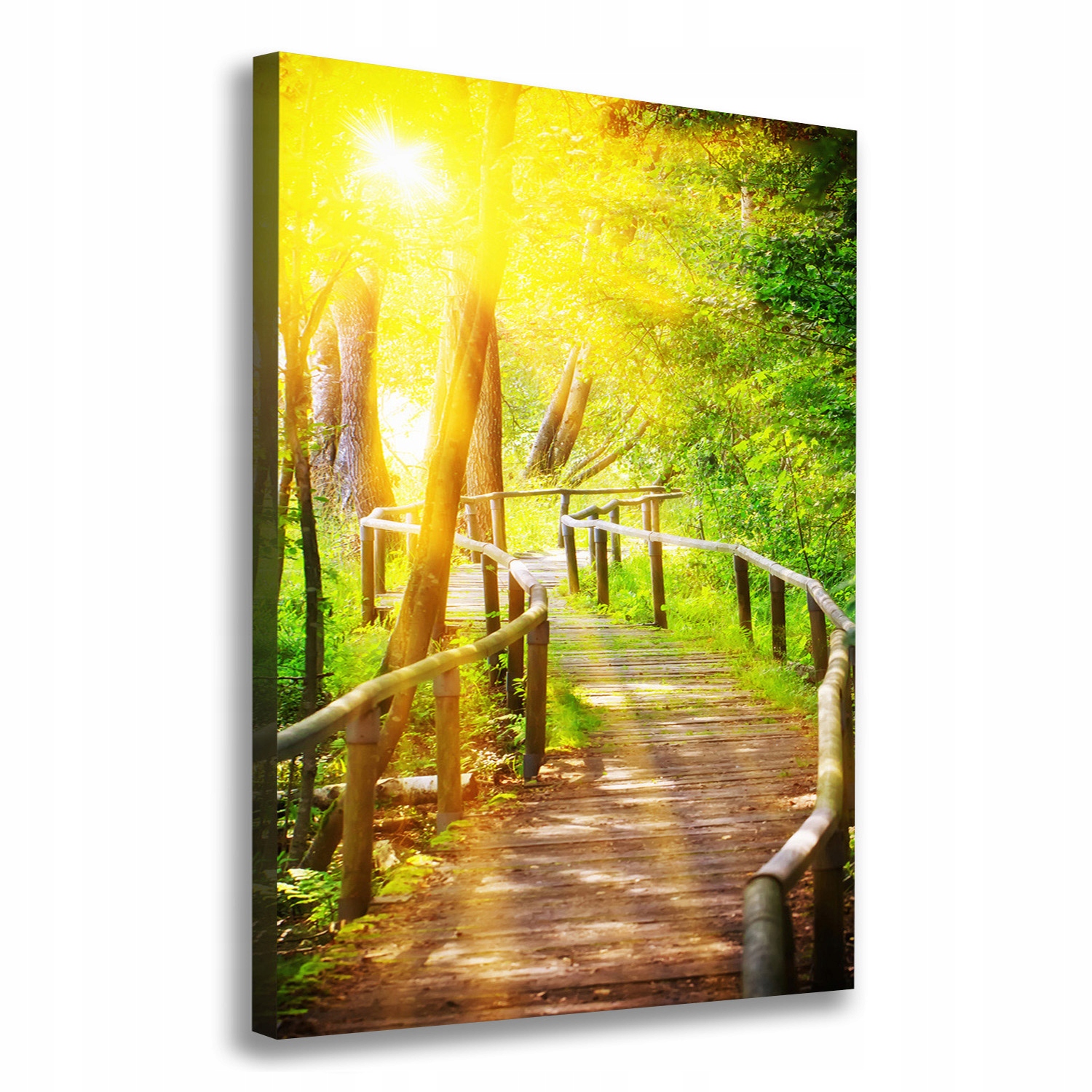 

Foto obraz na płótnie Ścieżka w lesie 70x100 cm