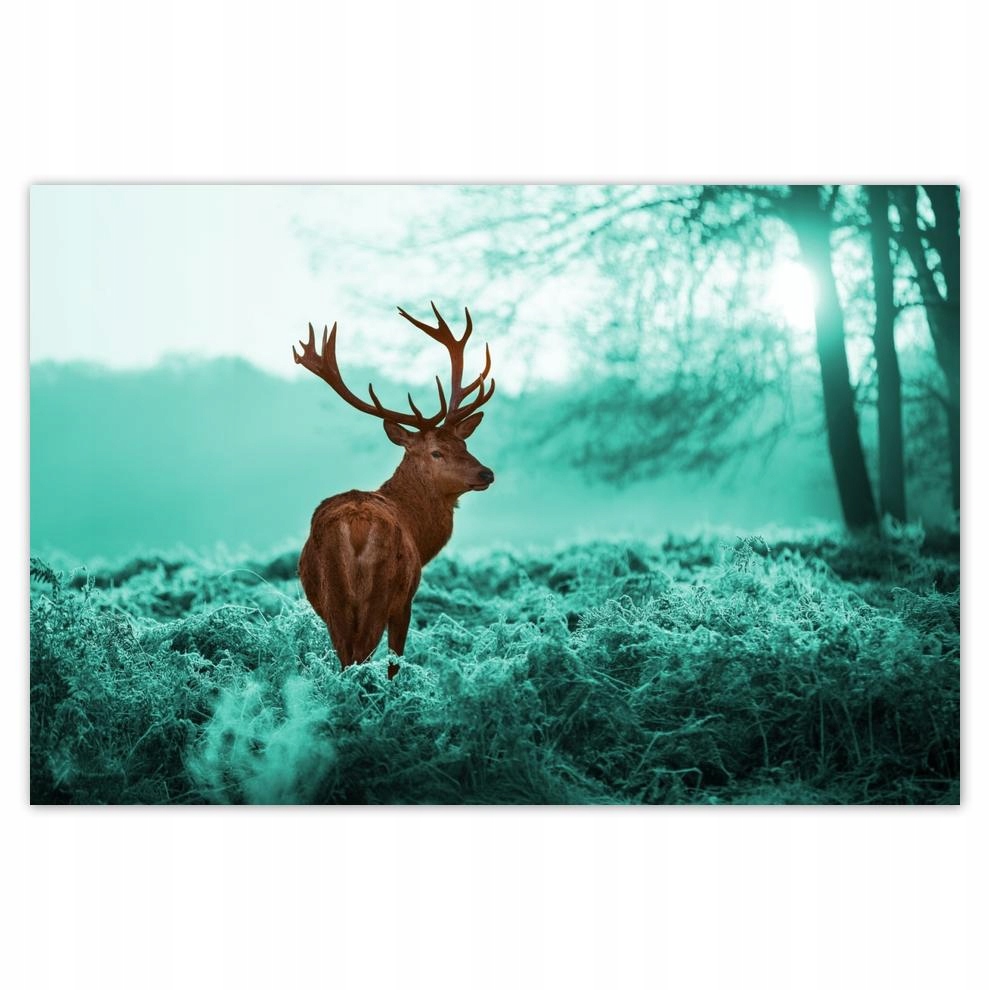 

Plakat 93x62 Jeleń w turkusowym lesie