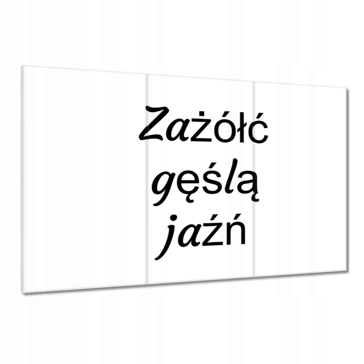 Obrazy 120x80 Zažloutněte husím já