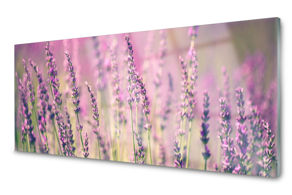 

Panel szklany do kuchni Kwiaty Roślina 125x50