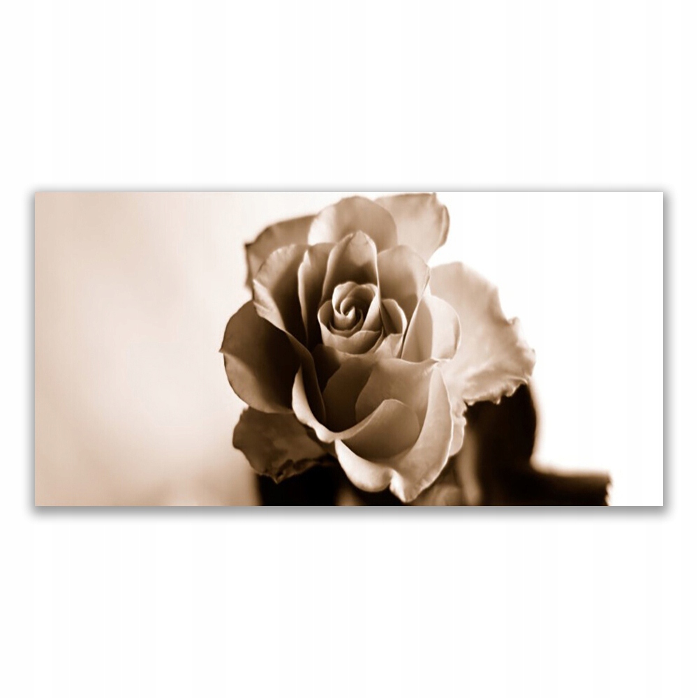 

Obraz akryl na prezent 120x60 Róża Kwiat Roślina