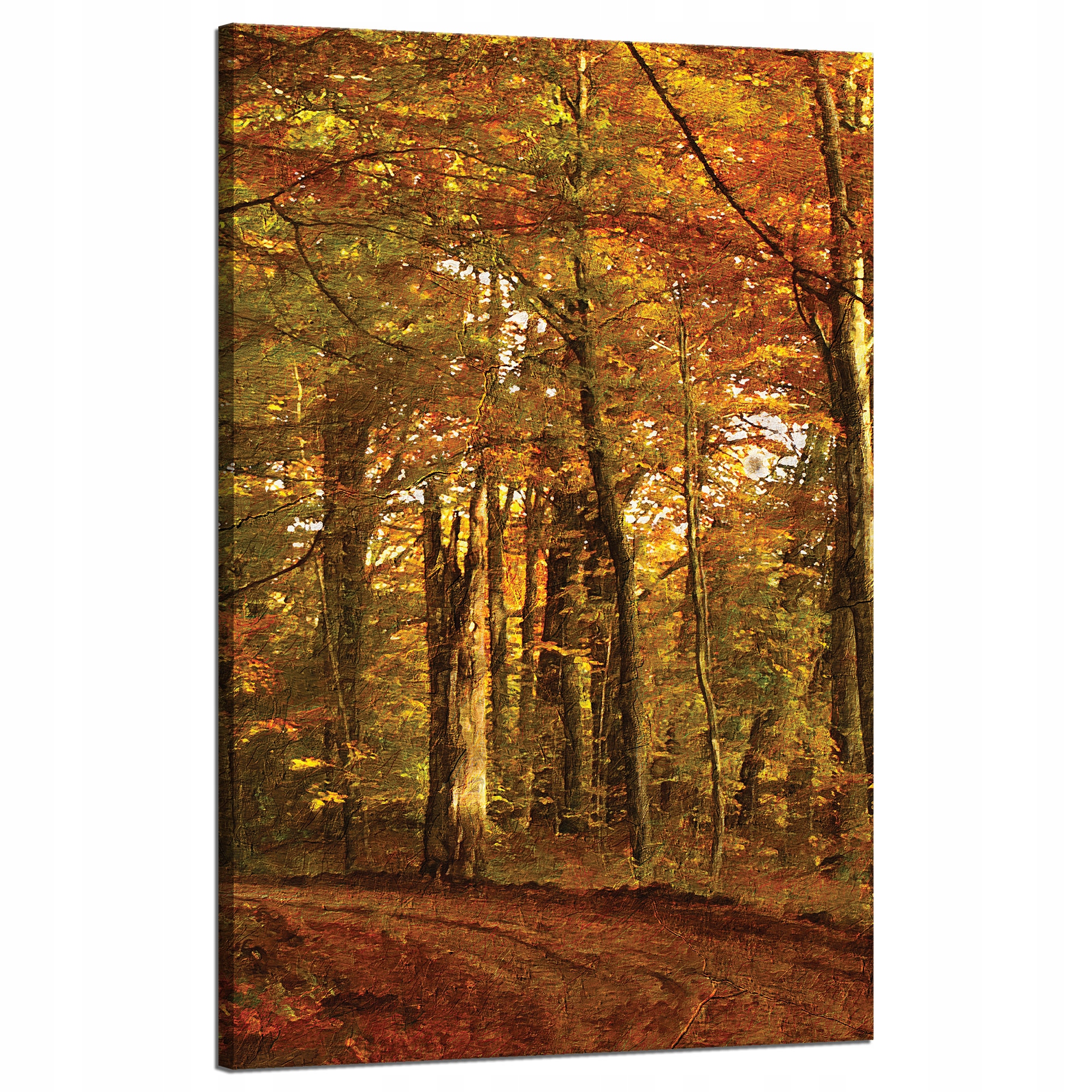 Obraz na plátně Pastelový styl Stromy Les Na podzim 50x80 cm