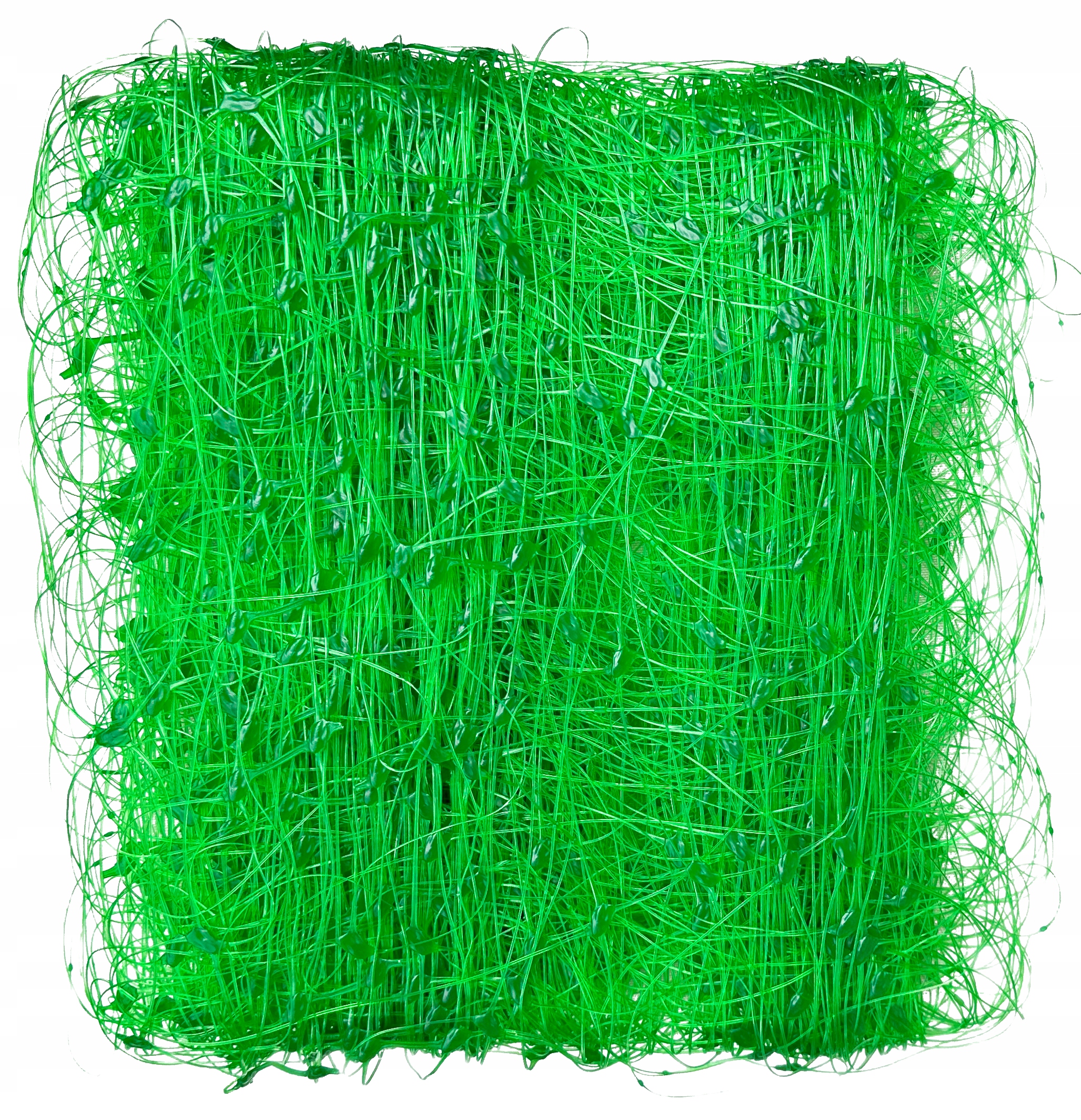 Siatka pod rośliny pnące na ogórki m 1,5 x 20 m Długość 20 m