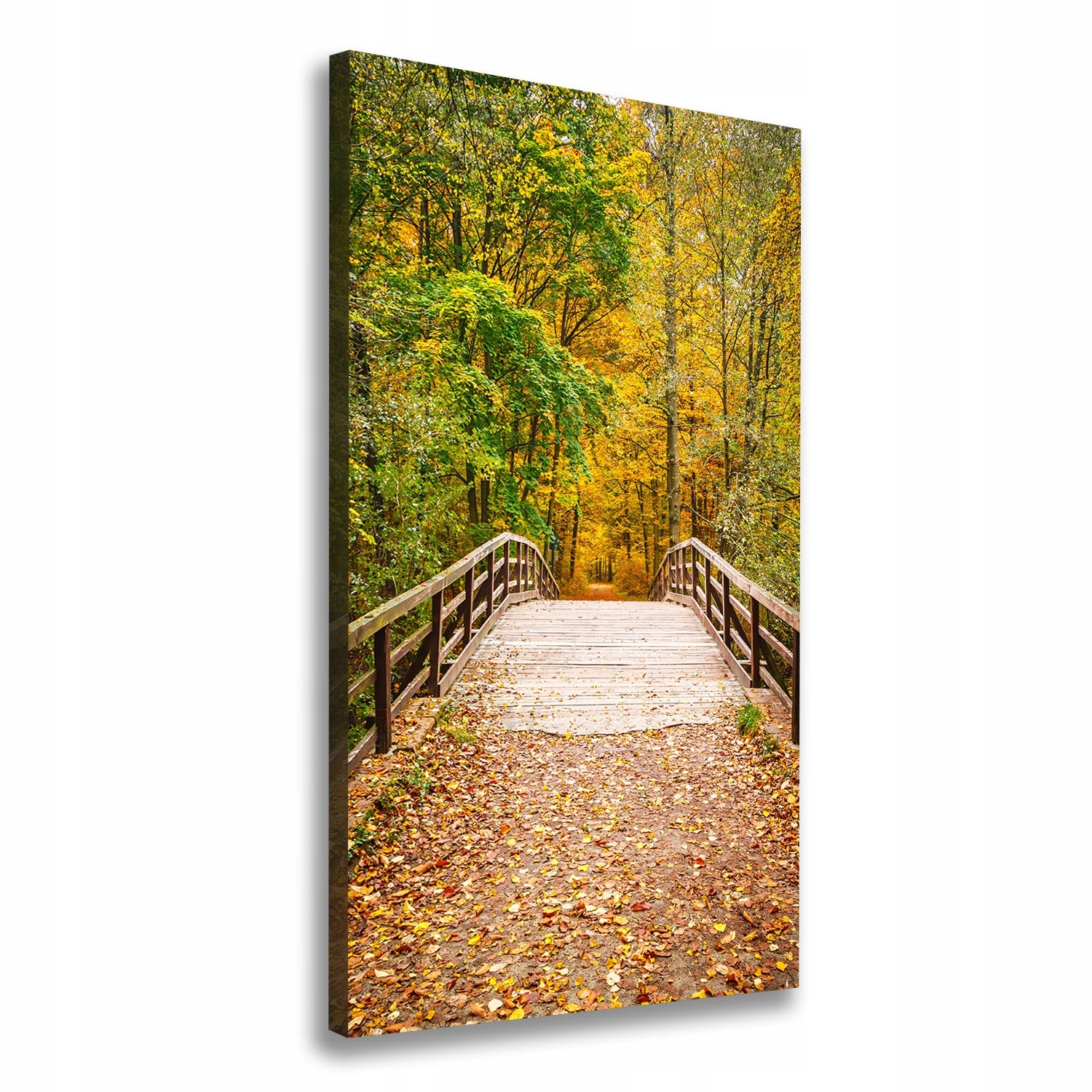 

Foto obraz canvas do salonu Las jesienią 70x140