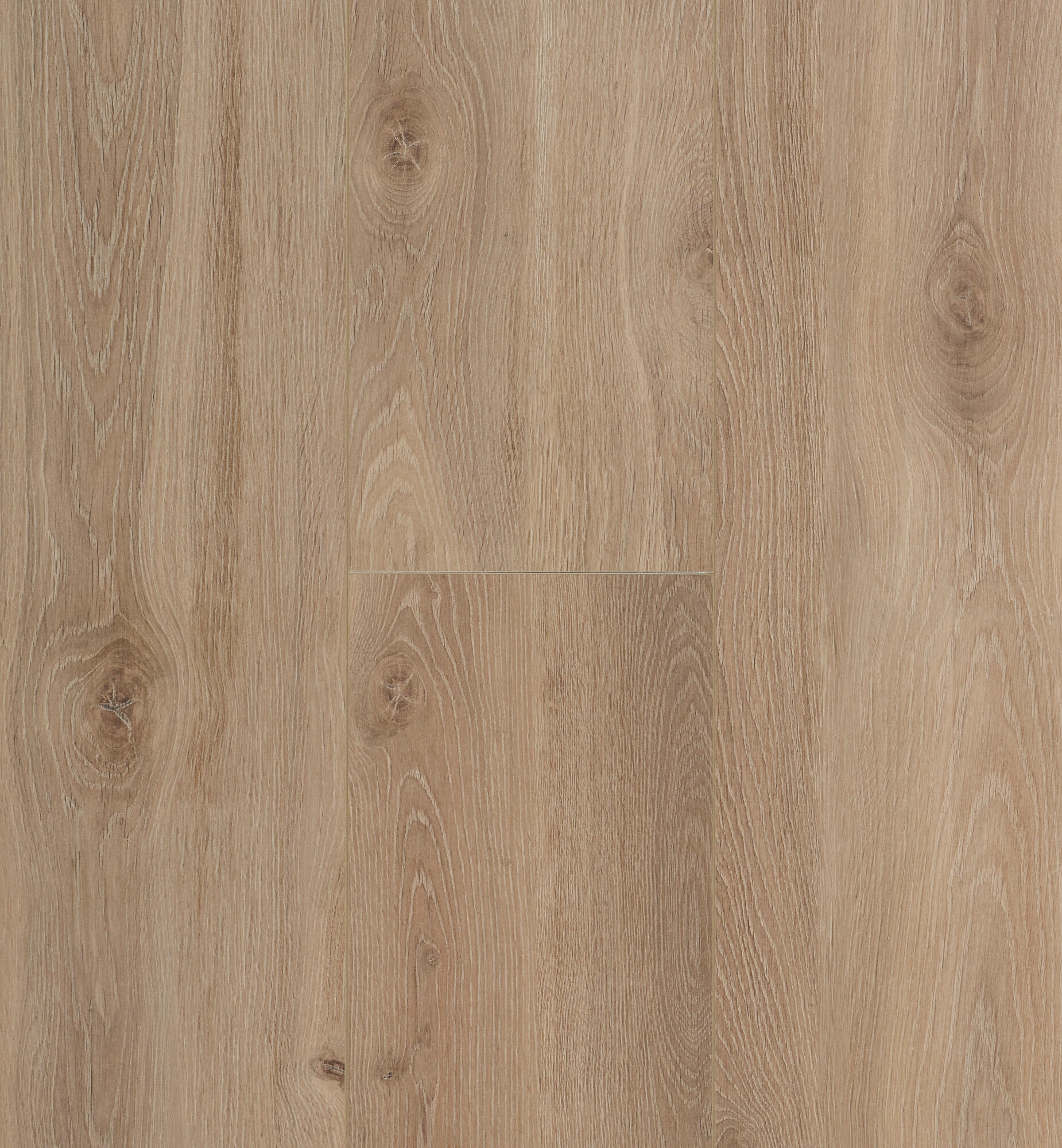 Panele podłogowe Berry Alloc Bloom Light Brown 8mm (62002459) • Cena