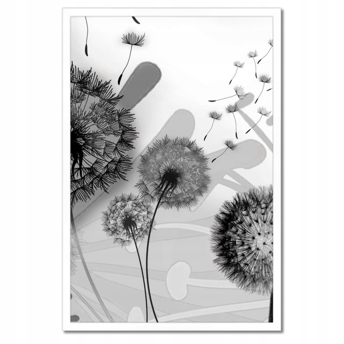 Plakáty v rámu 40x60 Dmychadla B&w