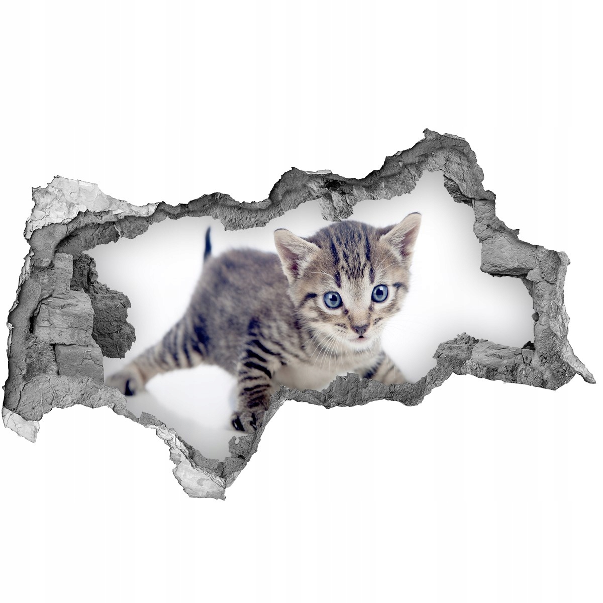 

Dziura 3d fototapeta na ścianę Naklejka Mały kot