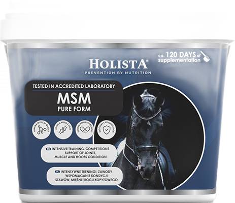 Holista Equine Msm Pure Form Siarka Biogenn dla Koni Kuców Regeneracja 900g