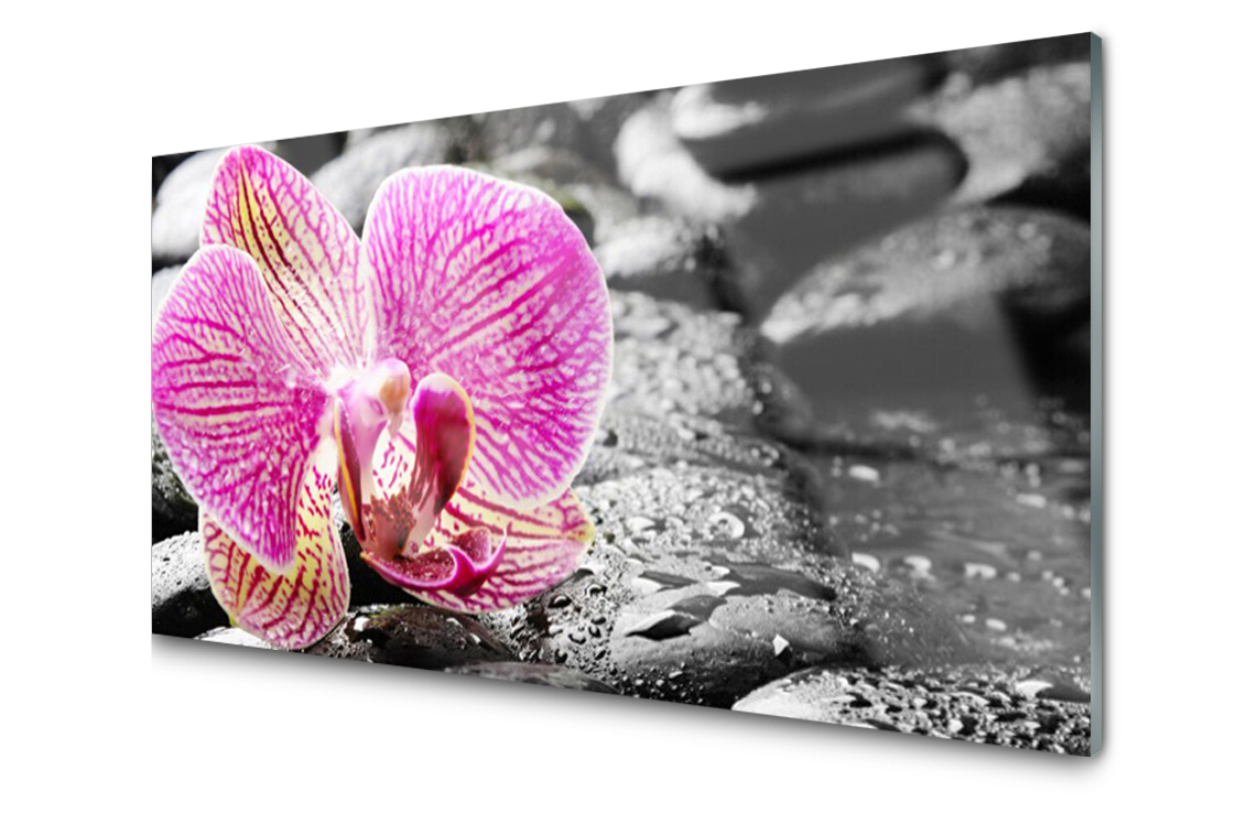 

Panel szklany dekor Kwiat Roślina 140x70 + Klej