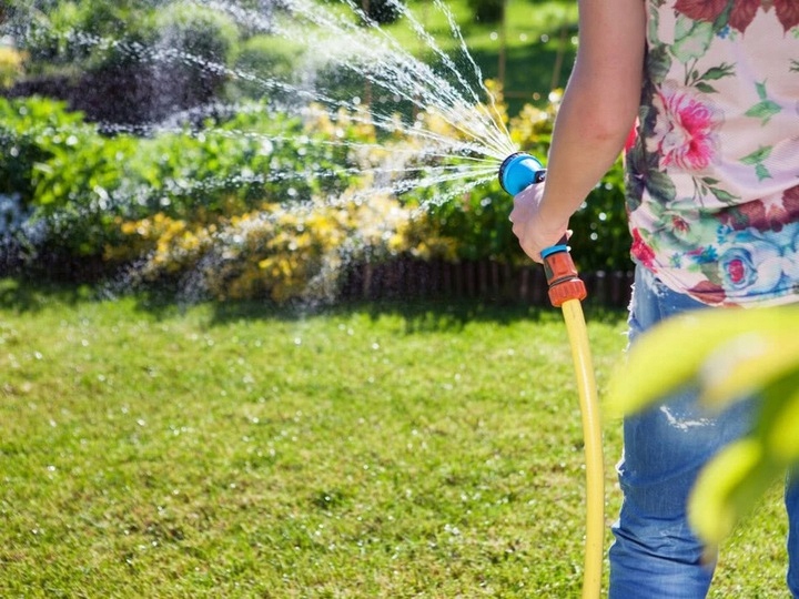 Nawóz z mchem Florovit Mistrzowski Trawnik 25 kg EAN (GTIN) 5900861142367