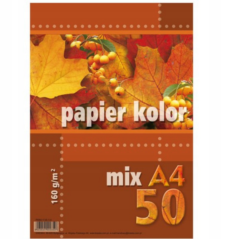 

Karton Ozdobny Kolorowy Papier Do Druku Ksero A4