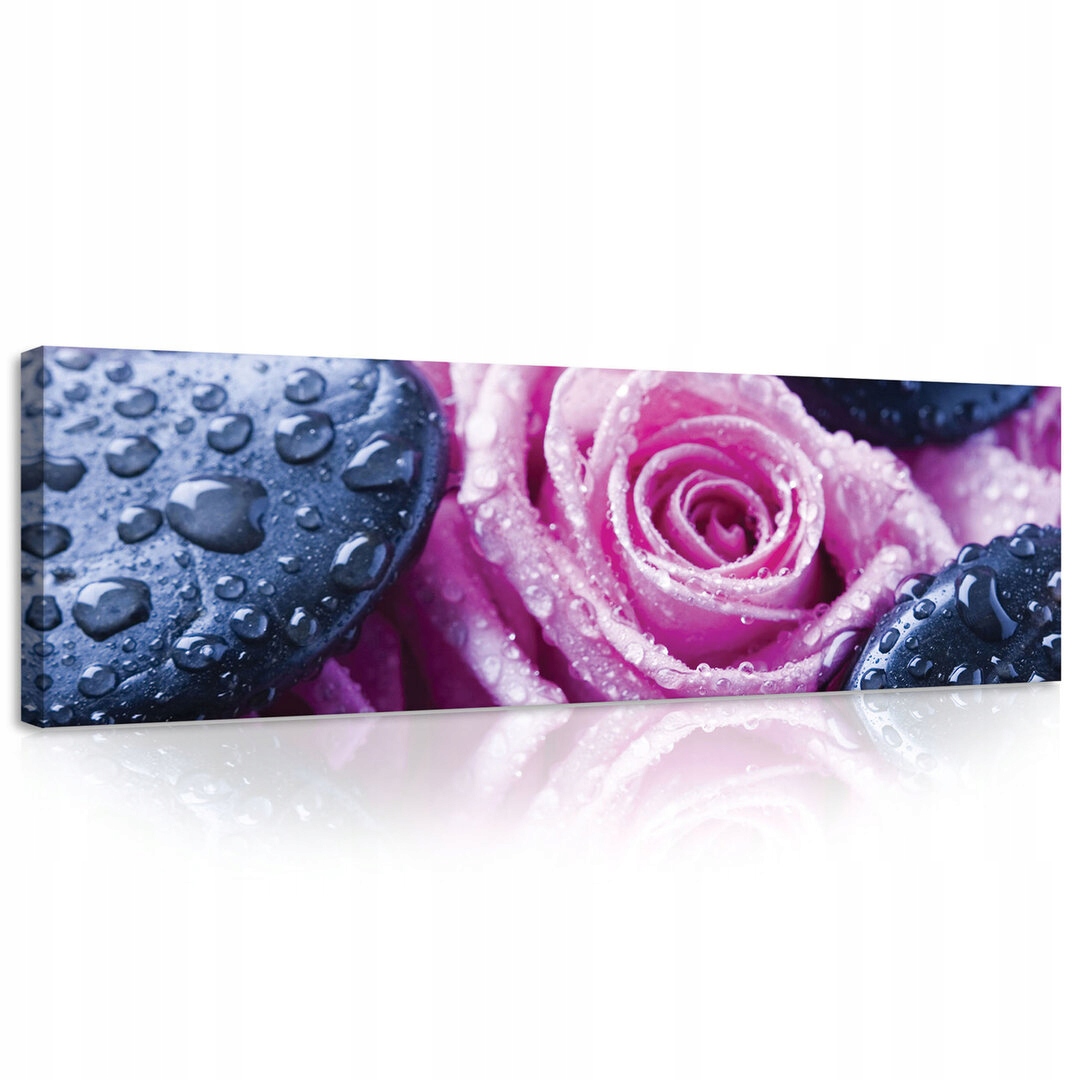 Obraz 145x45 Svěžest rosa růže kameny lázně relaxace příroda harmonie klid