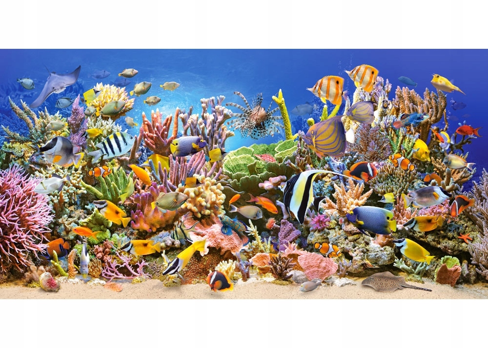 

Puzzle Układanka Zwierzęta Ryby Rafa 4000 Castor