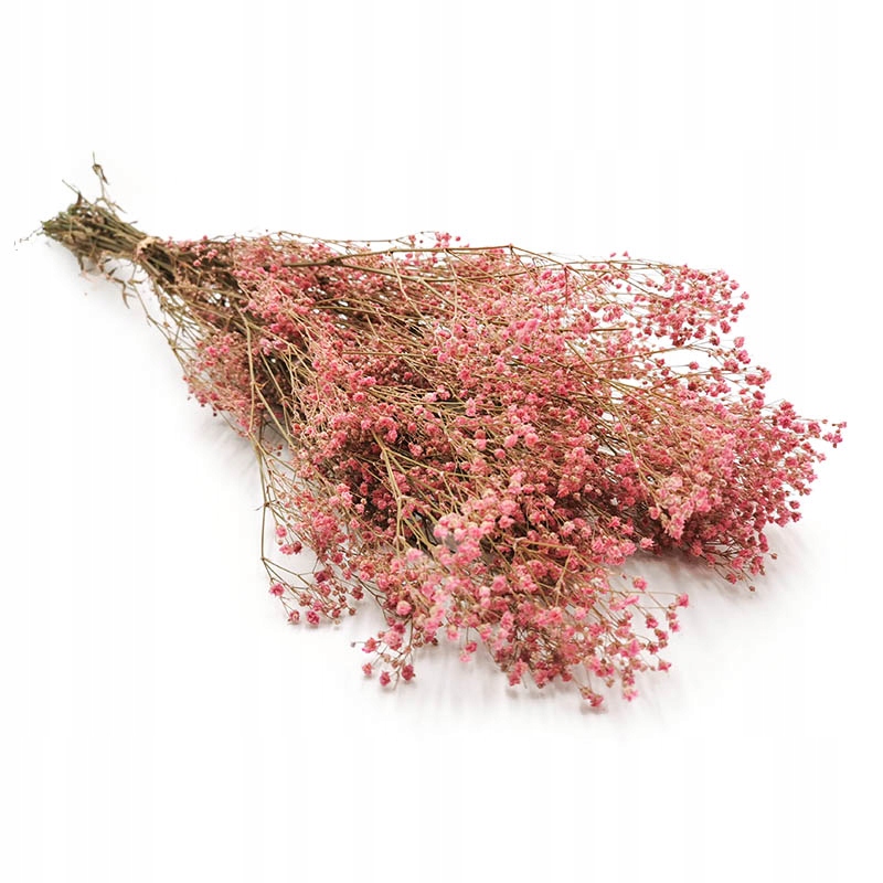

Gipsówka stabilizowana gypsophila suszone rośliny