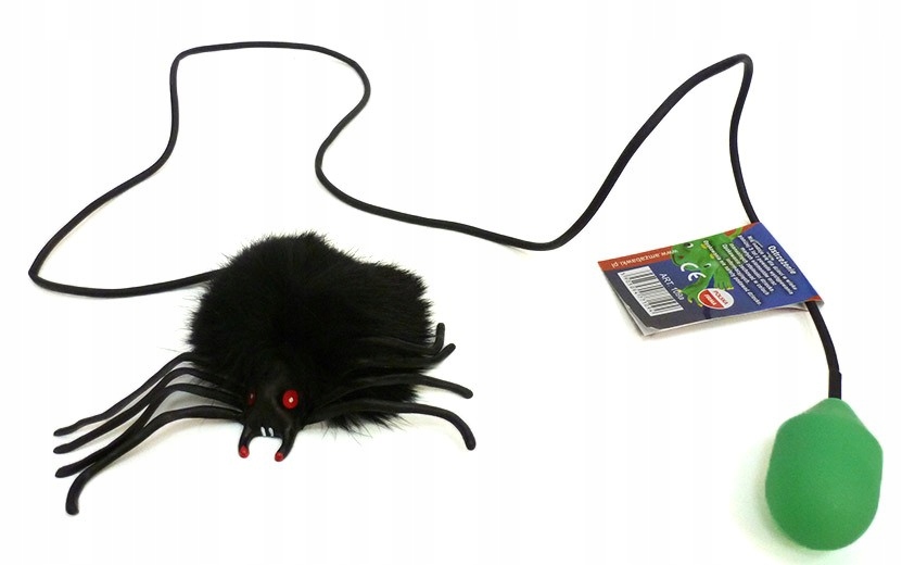

109A Skaczący Pająk Włochaty Tarantula Polska Zaba