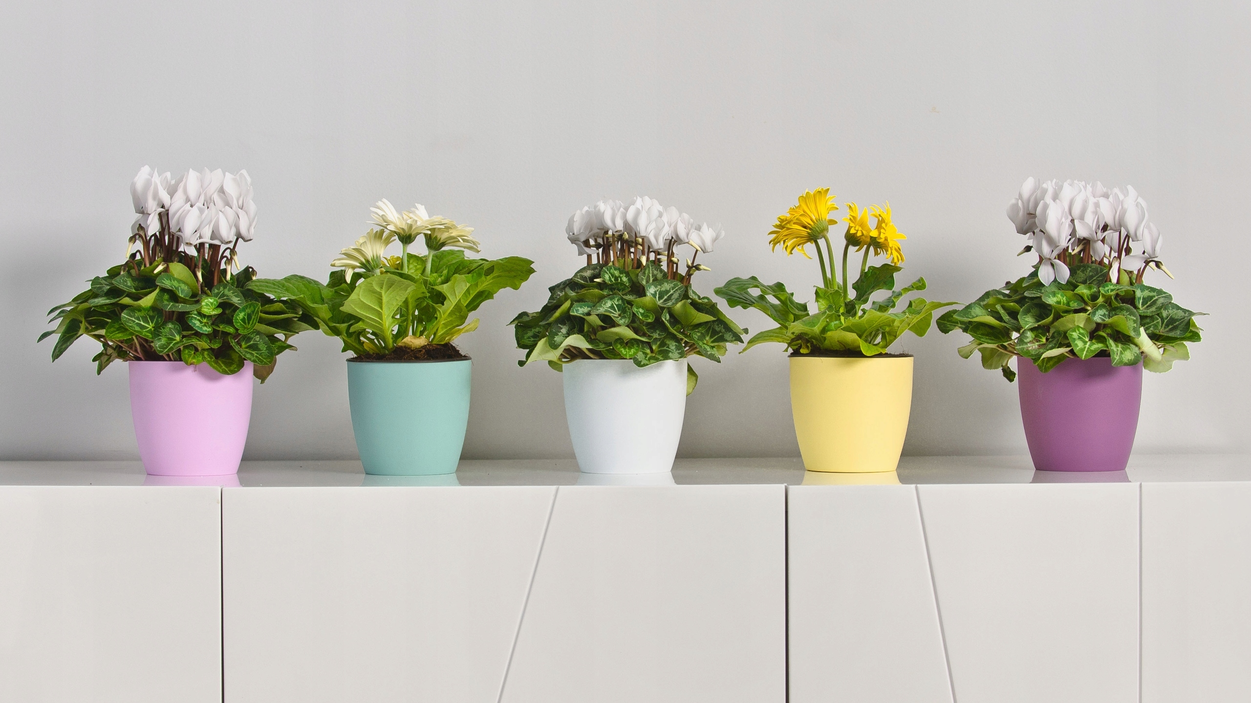 DONICZKA OSŁONKA DONICA 18cm NA KWIATY Z PODSTAWKĄ BIAŁY DO SALONU Marka Kadax