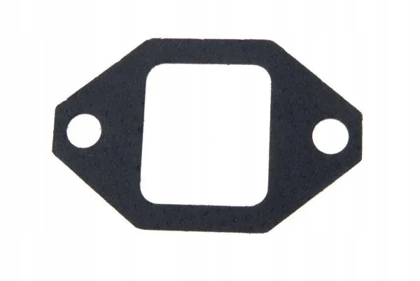 Uszczelka przewodu wydechowego 55010510 C-385