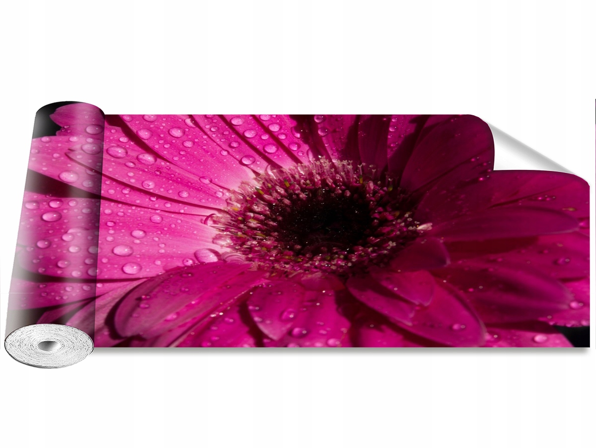 

Tapeta Samoprzylepna Gerbera Fioletowy - 250x104