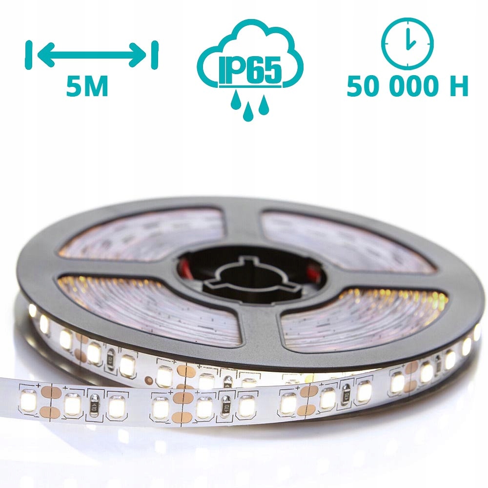 Taśma LED 5M RGB LEDY SMD5050 KOLOROWA + BIAŁY Barwa światła wielokolorowy