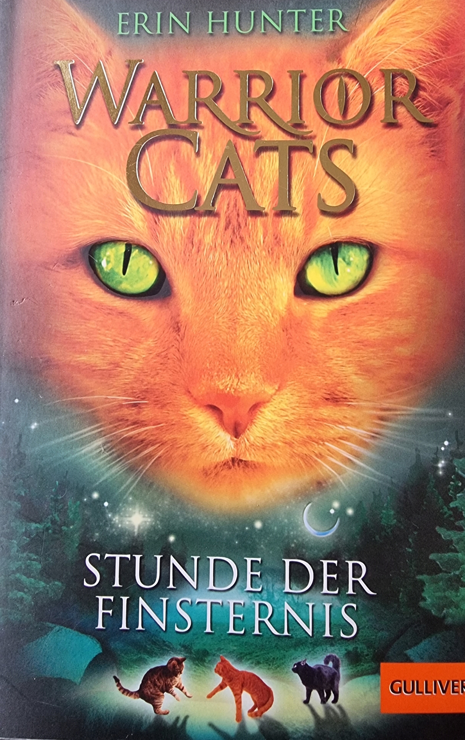 Hunter Erin Warrior CaTS Stunde der Finsternis (13131803671) Książka
