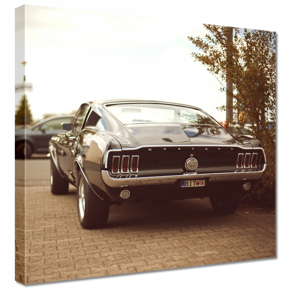 

Obrazy 40x40 Vintage foto Ford Mustang