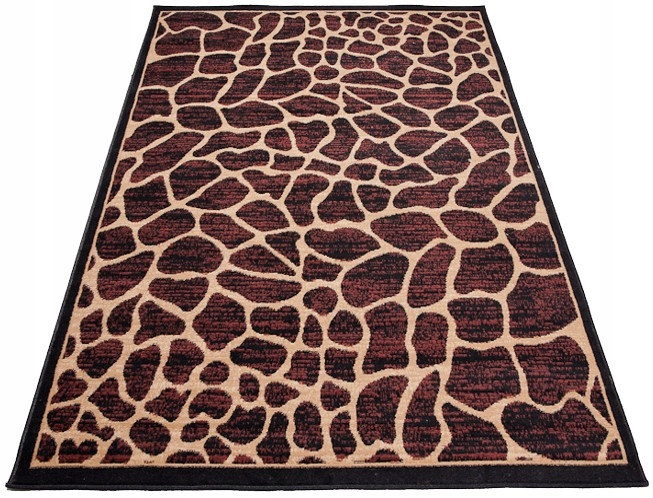 

Dywan Dream Bcf 140x200 Pluszowe Kolorowe Miłe mix