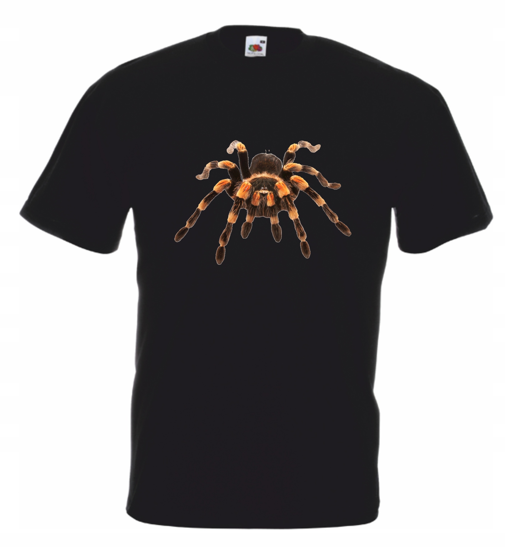 

Koszulka męska Pająk Tarantula M