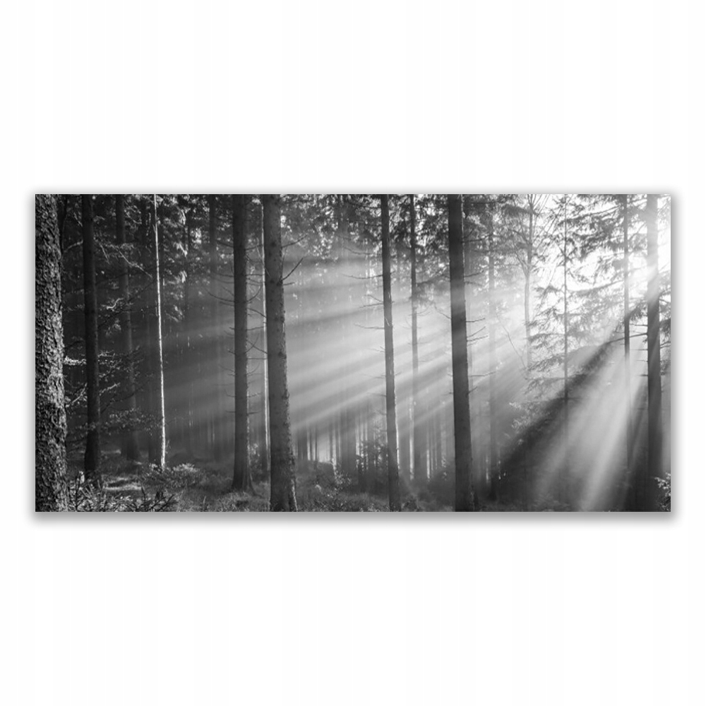 

Obraz wiszący 120x60 Las Natura Promienie Słońce