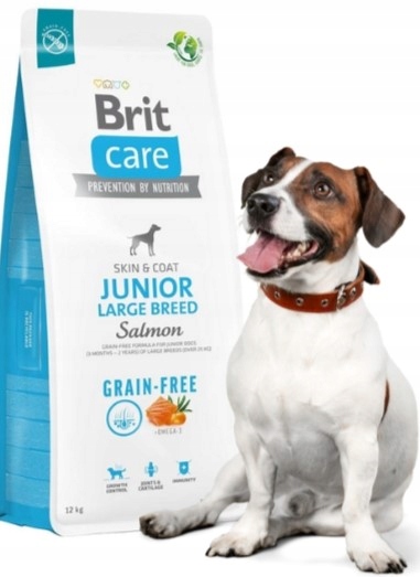Brit Care Grain-Free Large Junior Salmon 12kg