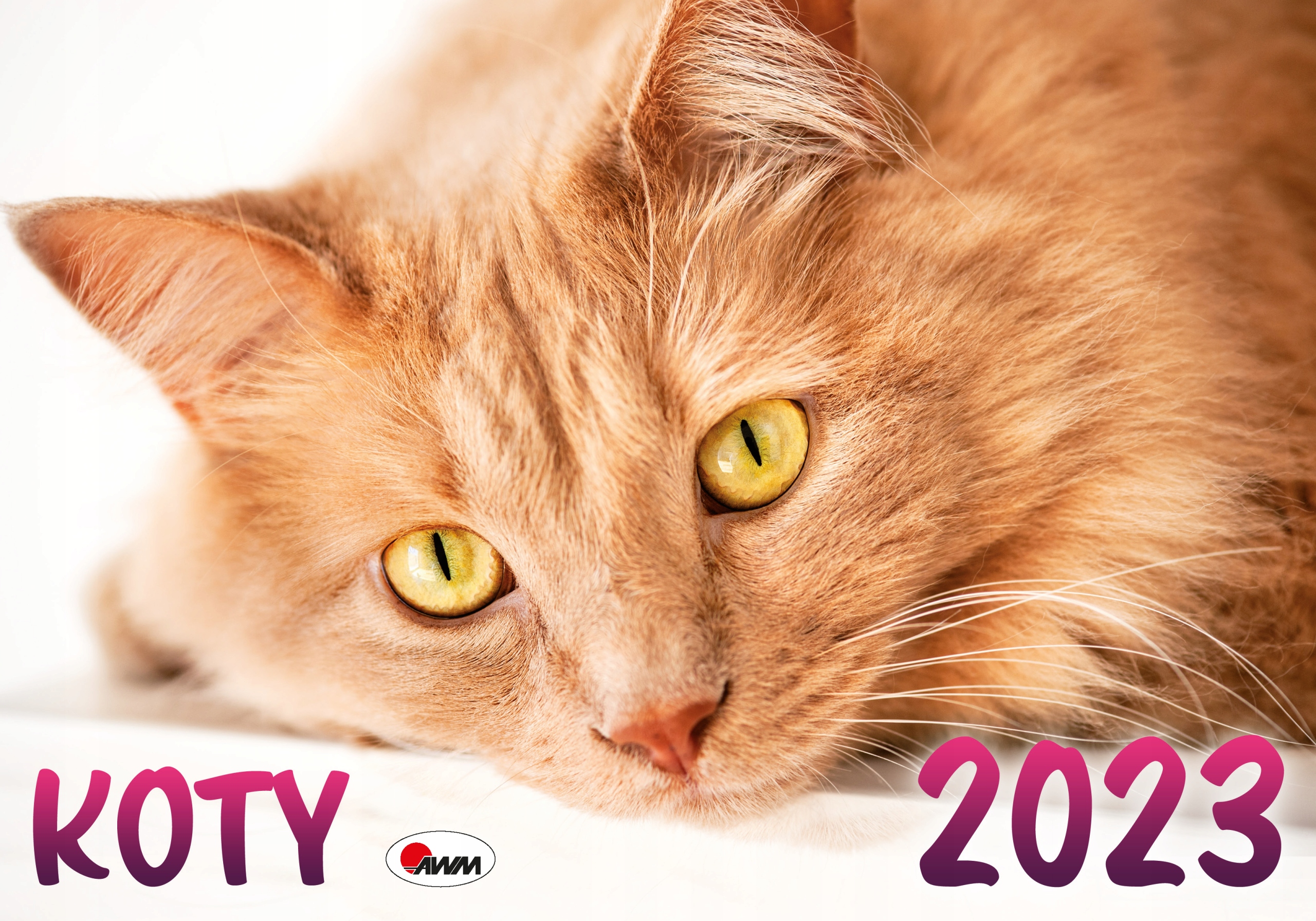 

Kalendarz Koty 2023 Ścienny Albumowy