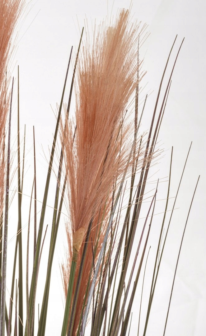 Roślina Dekoracyjna EAN (GTIN) 5902663384808