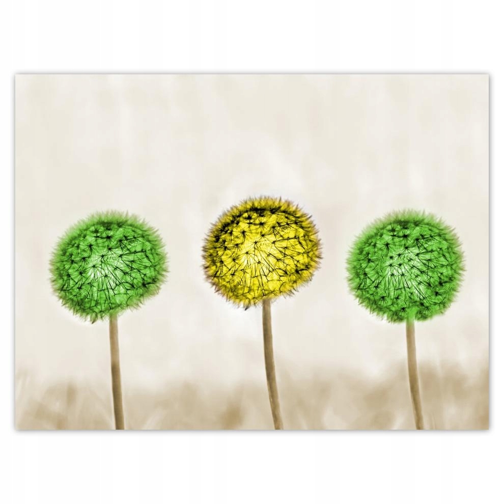 

Plakat 40x30 Żółty pomiędzy limonką