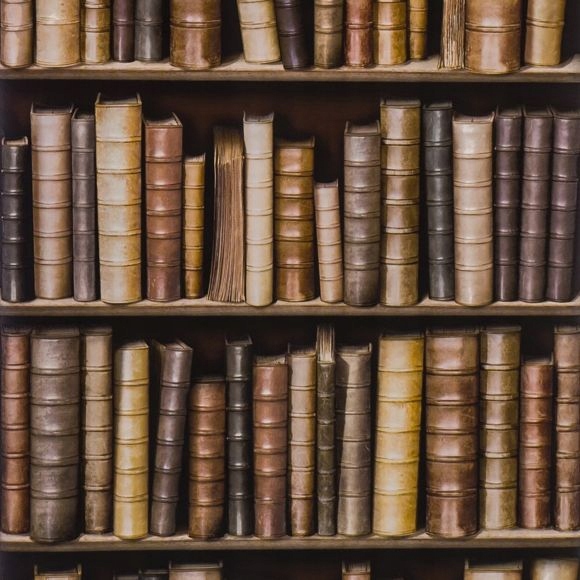 

Tapeta Książki 3D Regał Biblioteka Winylowa