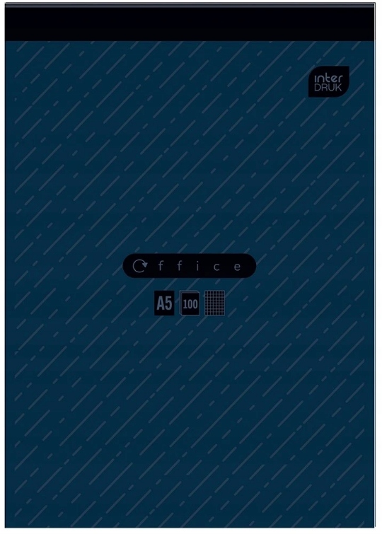 BLOK BIUROWY WKŁAD DO NOTESU A5 INTERDRUK A'100
